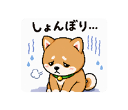 843966347