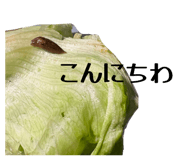 843966374