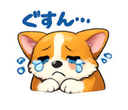 843966675
