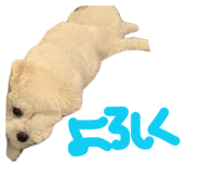 843966748
