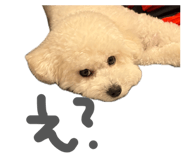843966750