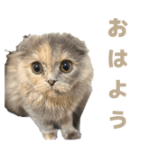 843966953