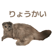 843966959