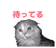 843966969
