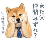 843967011
