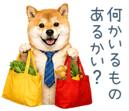 843967035