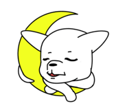 843967185