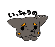 843967205