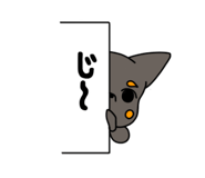 843967206