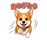 843967475
