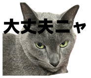 843967588