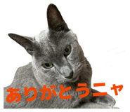 843967589