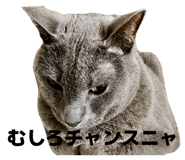 843967593