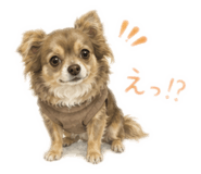 843967716