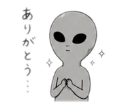 843967954