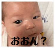 843968223