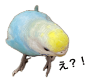 843968910