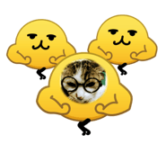 843969019