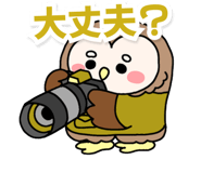 843969371
