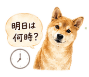 843969427