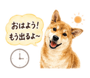 843969434