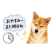 843969435
