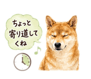 843969437