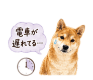 843969438