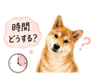 843969439