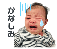 843969504