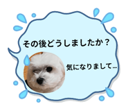 843969639