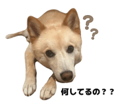 843970553
