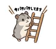 843970697