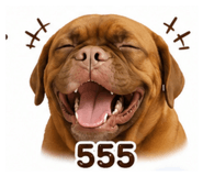 843971165