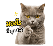 843971737