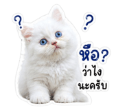 843971765