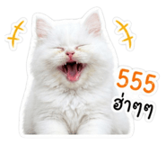 843971766