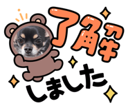 843972347