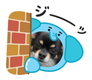 843972351