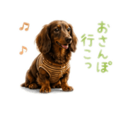 843972393