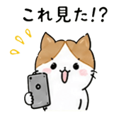 843972614