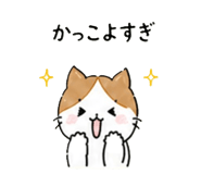 843972637