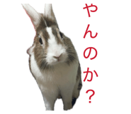 843972829