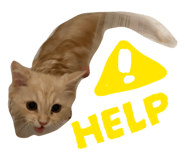 843972841