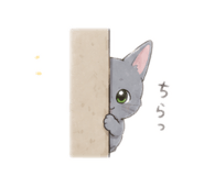 843972888