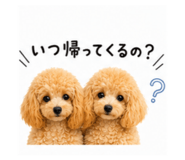 843973244