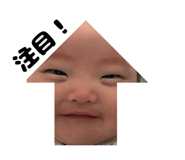 843973311