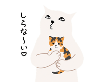 843973406