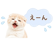 843973823