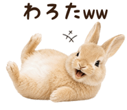 843973876